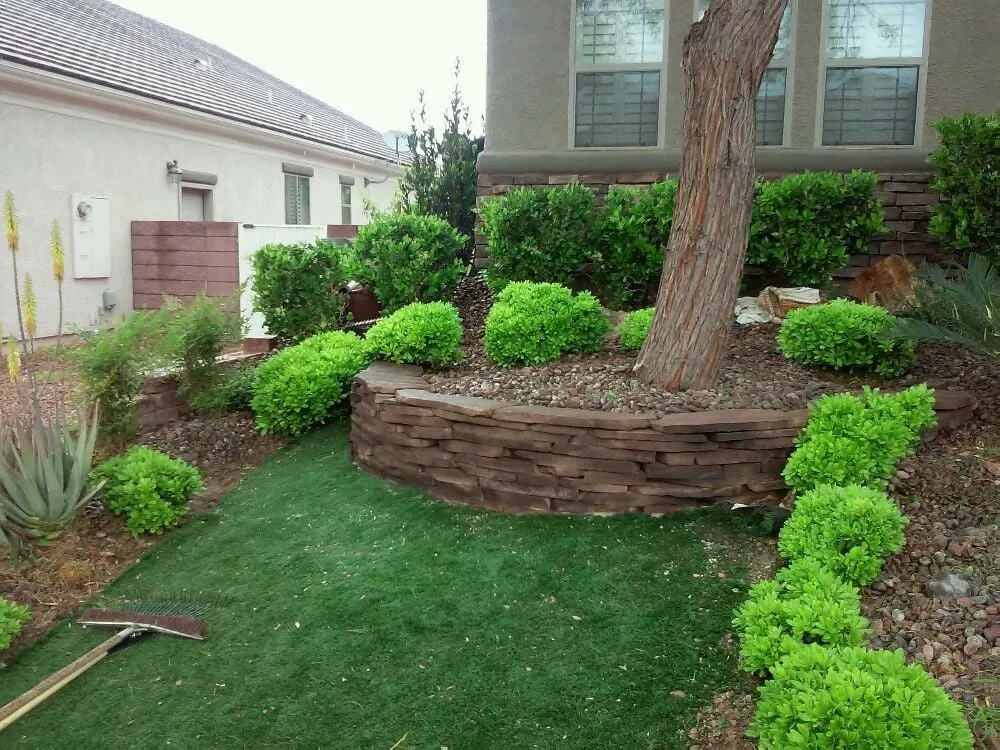 Trusted yard cleanup service near you in Henderson, NV by Anthem Landscape & Design