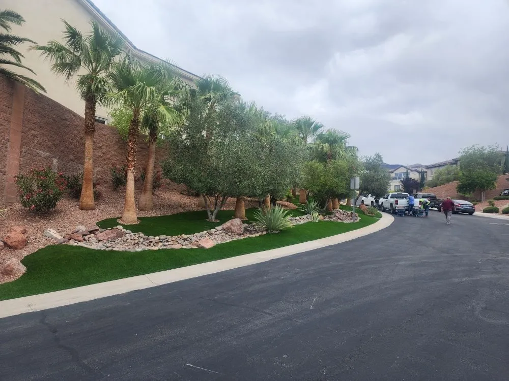 Custom lawn mowing service for year-round maintenance in Henderson, NV by Anthem Landscape & Design