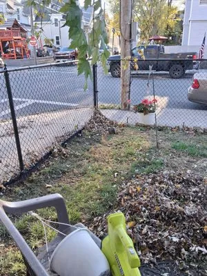 Anthony & Sons Snow Removal Landscaping Logo