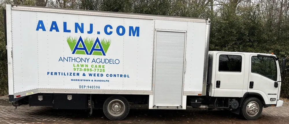 Custom yard cleanup service for outdoor upgrades across Randolph, NJ - Anthony Agudelo Lawn Care