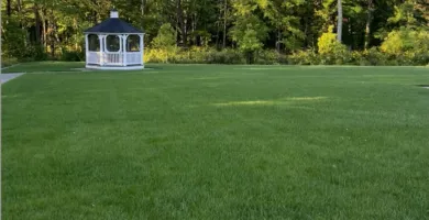 Anthony Agudelo Lawn Care