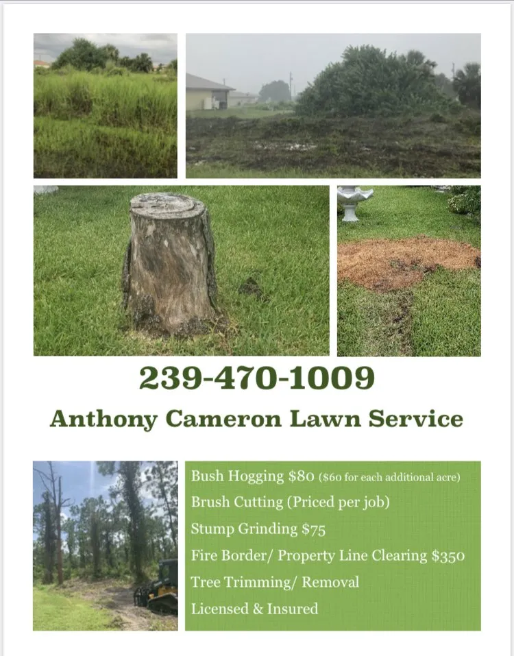 Expert landscape design in Lehigh Acres, FL by Anthony Cameron Lawn Service