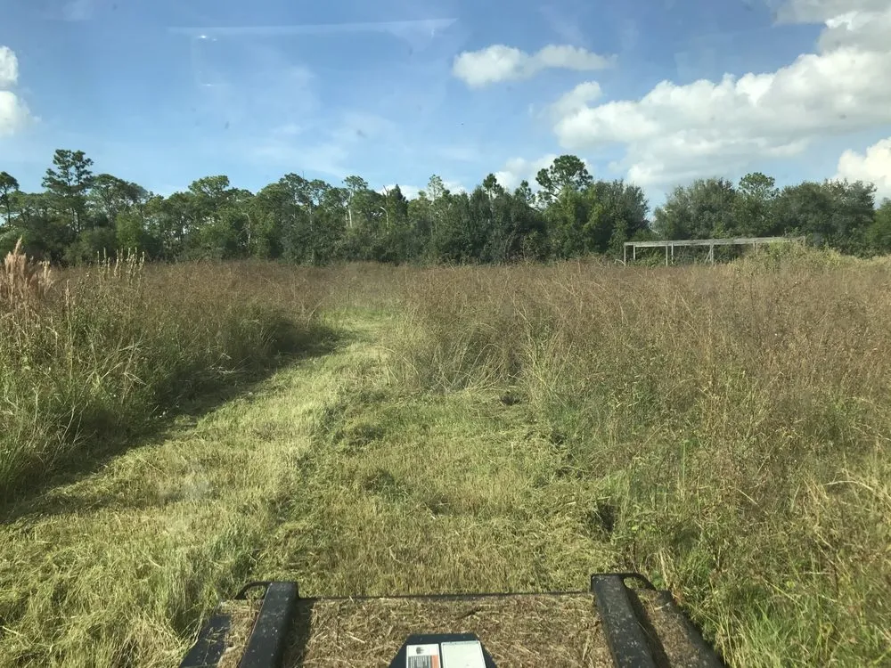 Affordable garden landscaping with custom design across Lehigh Acres, FL - Anthony Cameron Lawn Service