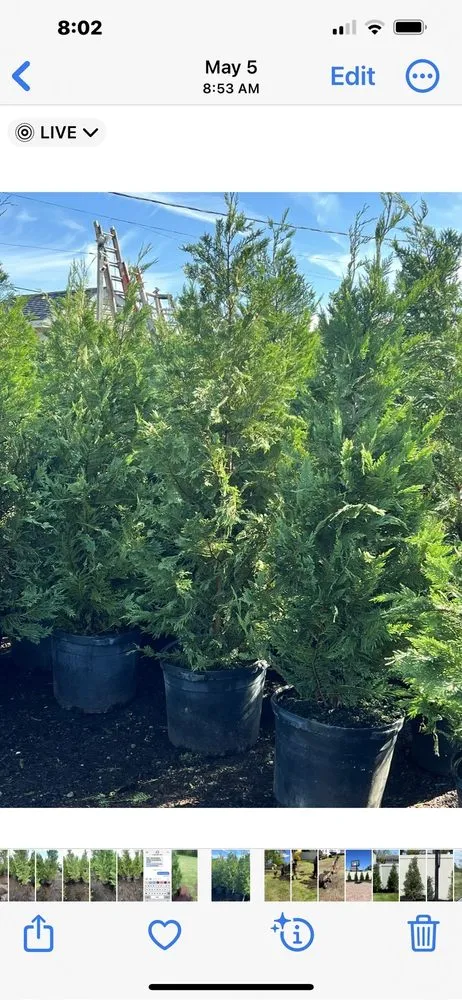 Top-rated garden landscaping in Commack, NY - Anthony Costanza Landscaping