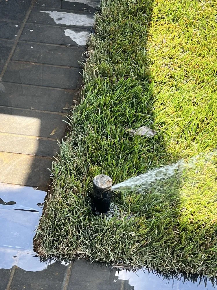 Top-rated garden landscaping in Commack, NY - Anthony Costanza Landscaping