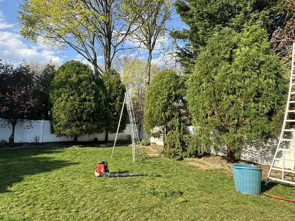 Top-rated lawn care service for residential properties in Commack, NY by Anthony Costanza Landscaping