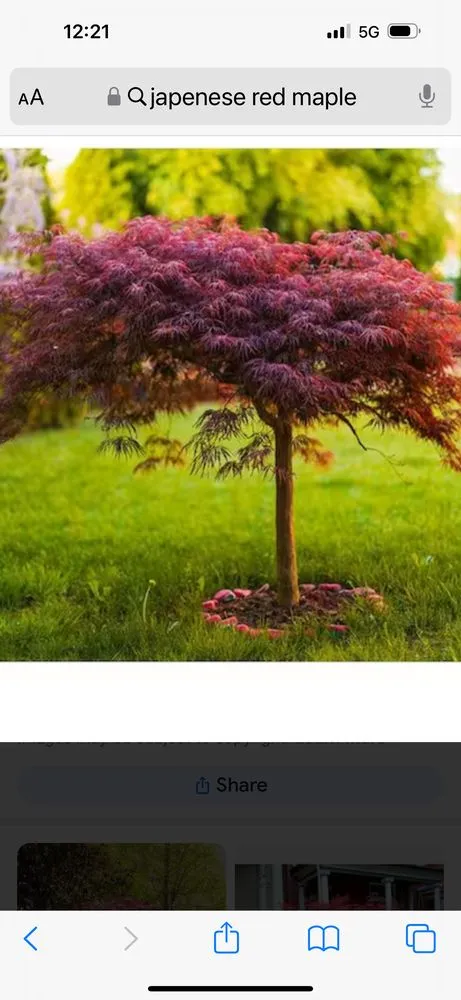 Top-rated garden landscaping in Commack, NY - Anthony Costanza Landscaping