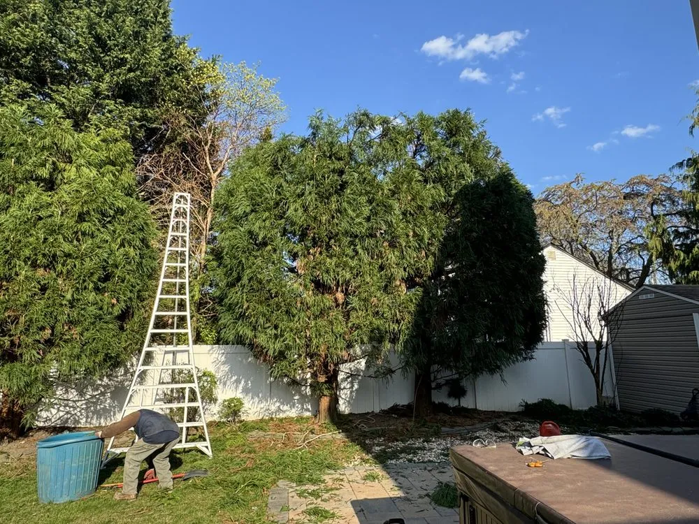 Top-rated residential landscaping in Commack, NY by Anthony Costanza Landscaping