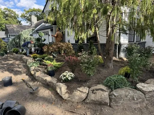 Anthony Costanza Landscaping