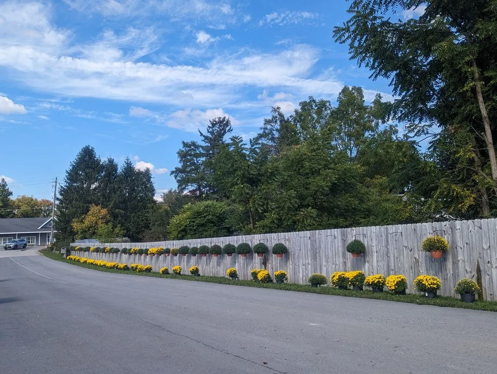 Local yard maintenance for homes in Elbridge, NY by Anthony Demarco & Sons