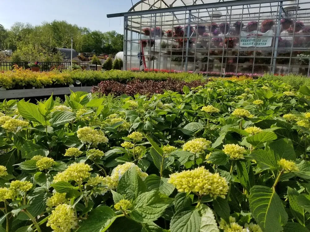 Affordable landscape installation for year-round maintenance in Elbridge, NY by Anthony Demarco & Sons