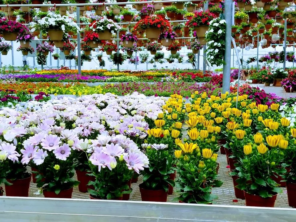 Top-rated outdoor landscaping in Elbridge, NY by Anthony Demarco & Sons