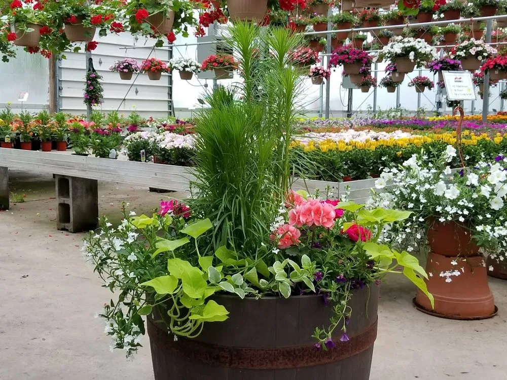 Top-rated yard maintenance near you in Elbridge, NY by Anthony Demarco & Sons