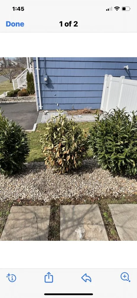 Affordable outdoor landscaping in Clark, NJ by Anthony Fischetti Landscaping