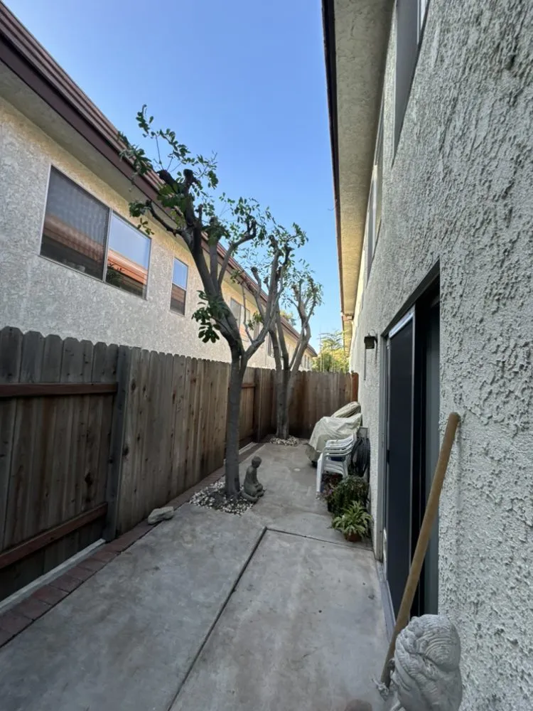 Reliable landscape installation for outdoor upgrades across Pasadena, CA - Anthony gardens service