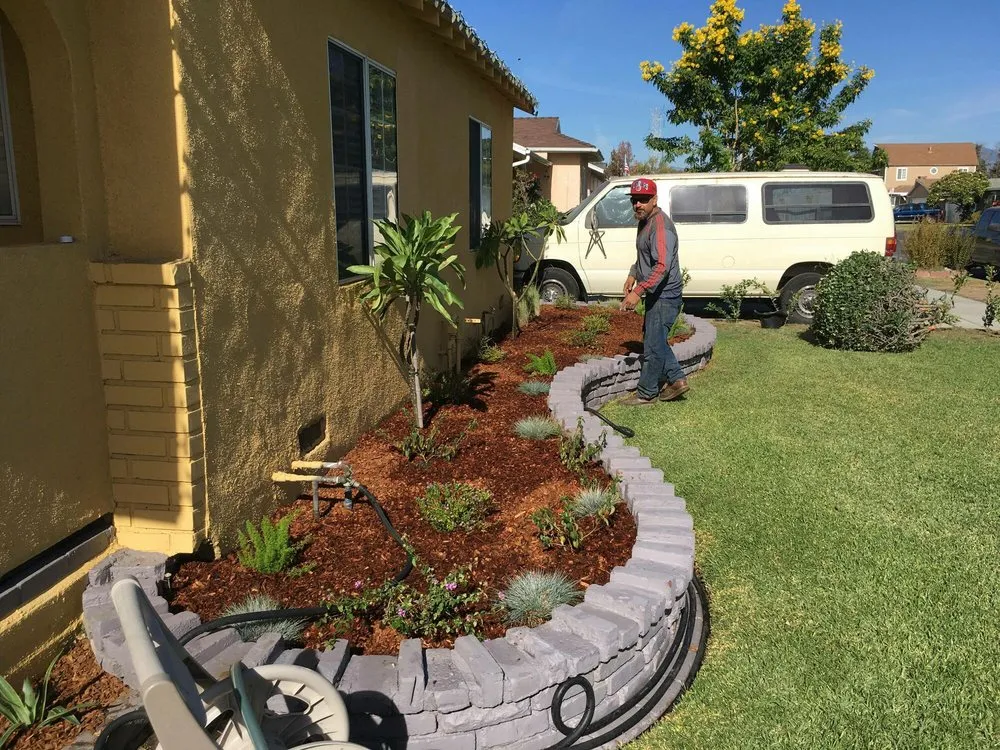 Reliable yard cleanup service in Pasadena, CA by Anthony gardens service