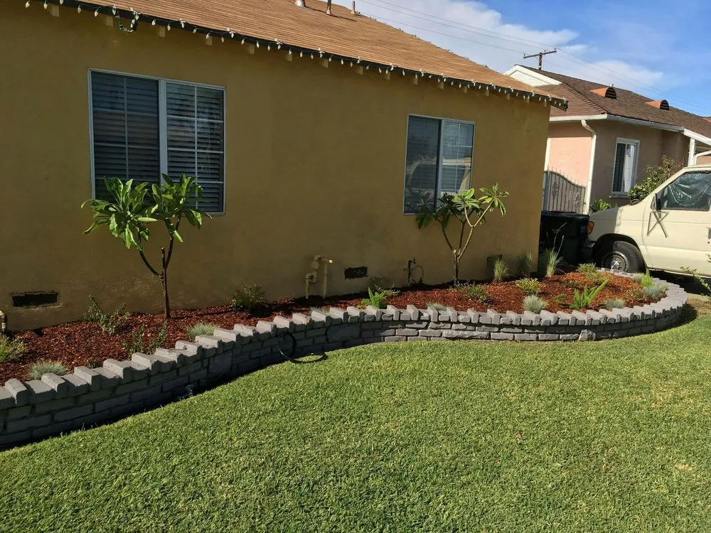 Expert yard maintenance in Pasadena, CA by Anthony gardens service