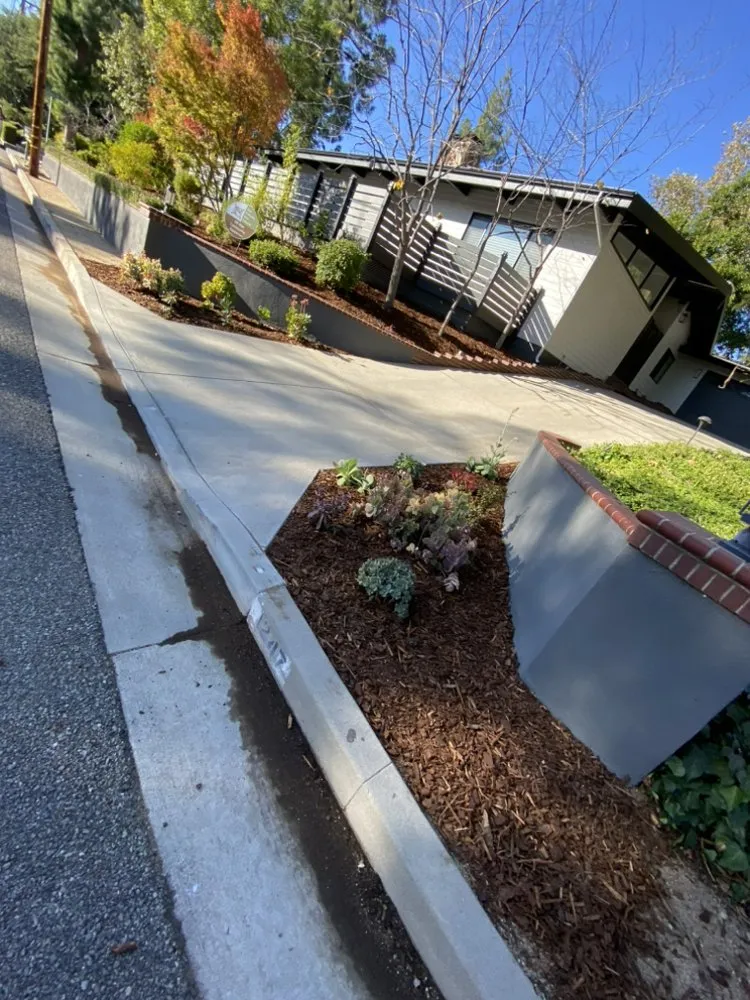 Top-rated lawn care service for beautiful yards in Pasadena, CA by Anthony gardens service