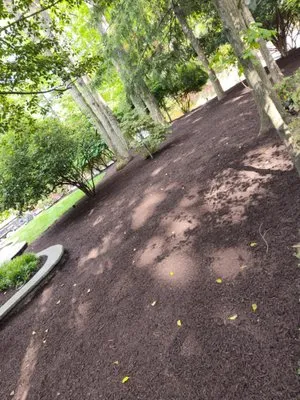 Anthony Landscaping & Power Washing Logo