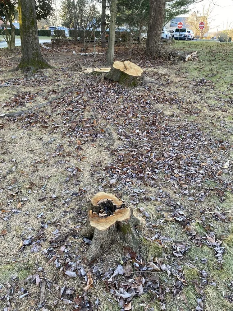 Trusted lawn mowing service for outdoor upgrades in Clifton Heights, PA by Anthony Landscaping & Tree Service