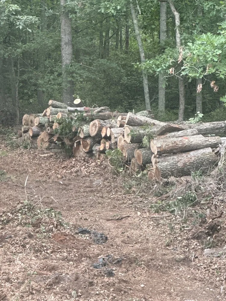 Top-rated landscaping services in Clifton Heights, PA by Anthony Landscaping & Tree Service