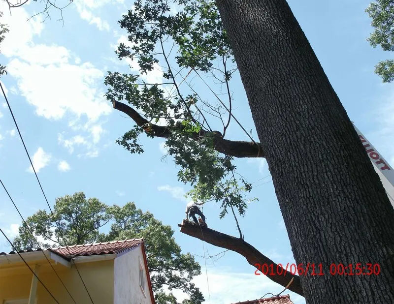 Reliable outdoor landscaping experts serving Clifton Heights, PA - Anthony Landscaping & Tree Service