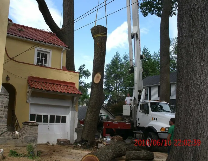 Top-rated yard maintenance in Clifton Heights, PA by Anthony Landscaping & Tree Service