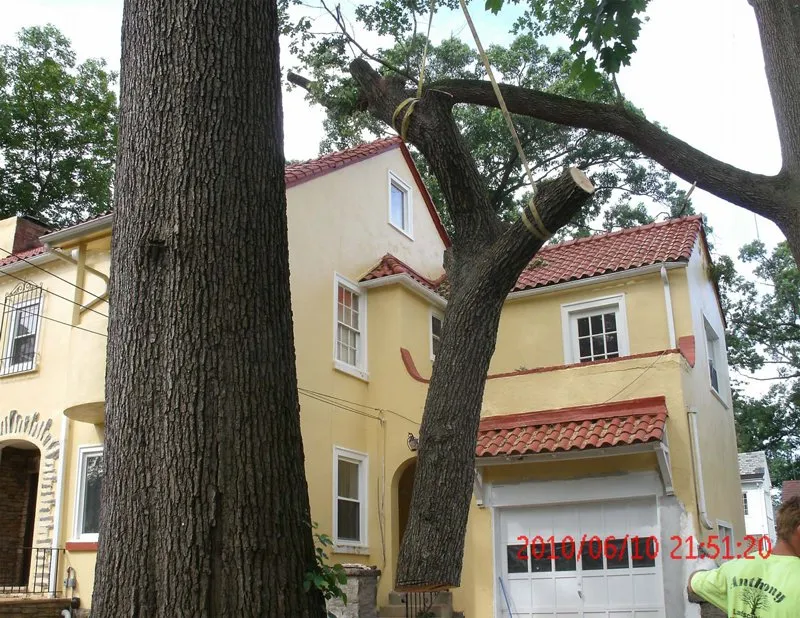 Reliable yard maintenance for residential properties in Clifton Heights, PA by Anthony Landscaping & Tree Service