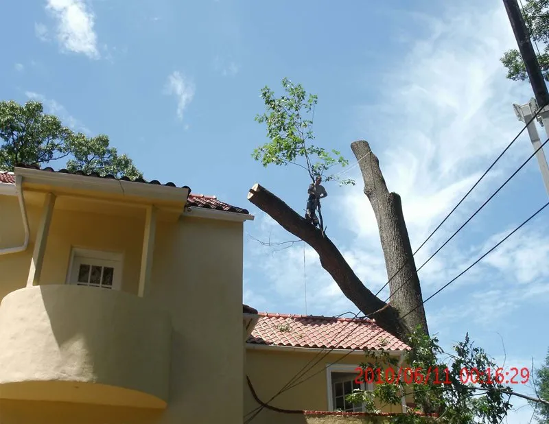 Top-rated residential landscaping for residential properties across Clifton Heights, PA - Anthony Landscaping & Tree Service