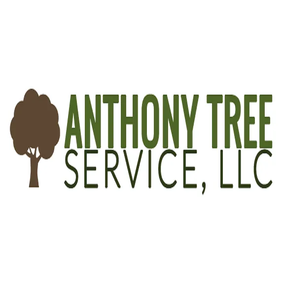 Custom outdoor landscaping with custom design in Clifton Heights, PA by Anthony Landscaping & Tree Service