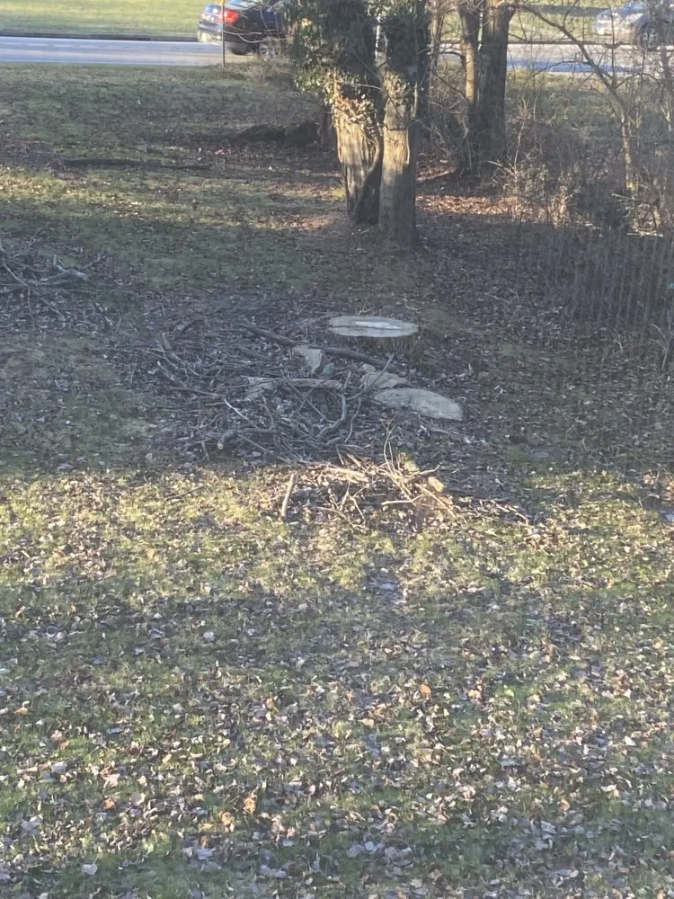 Trusted yard maintenance for homes in Clifton Heights, PA by Anthony Landscaping & Tree Service