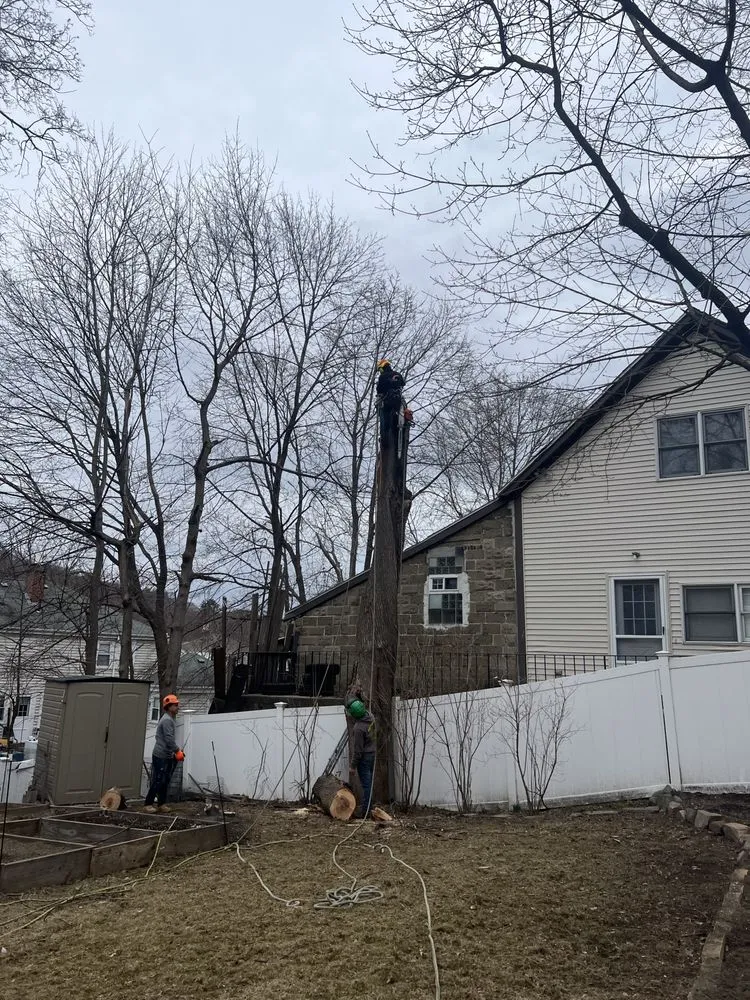 Reliable lawn care service near you across Lynn, MA - Anthony Landscaping and Masonry