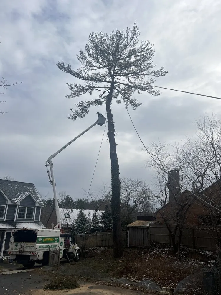 Professional outdoor landscaping in Lynn, MA - Anthony Landscaping and Masonry