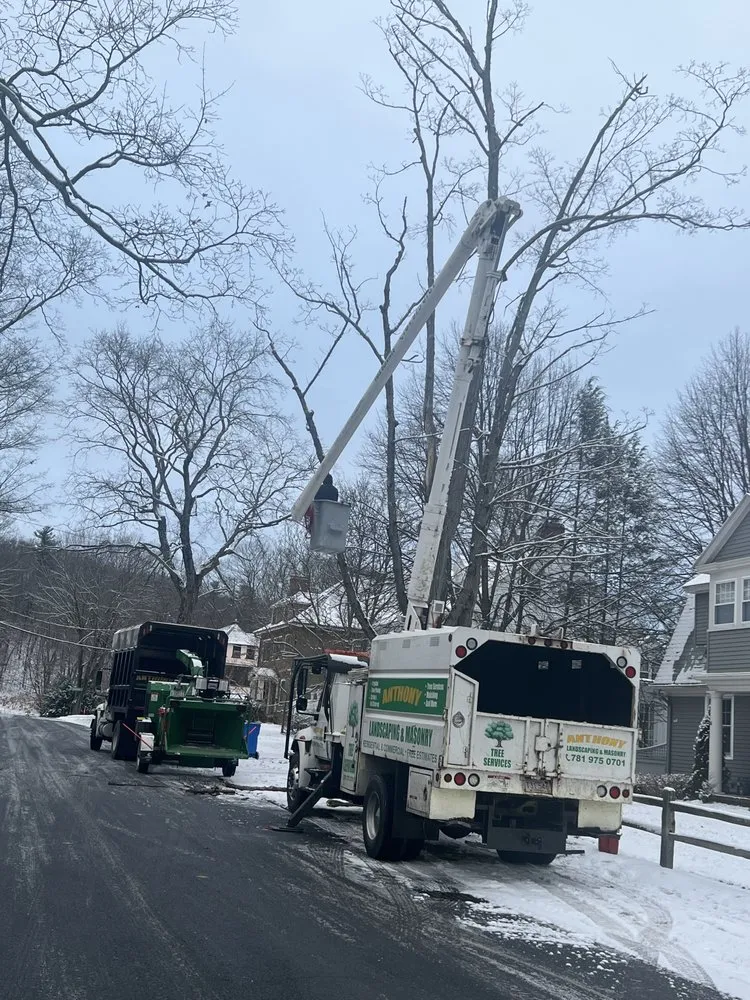 Affordable landscape installation with custom design across Lynn, MA - Anthony Landscaping and Masonry