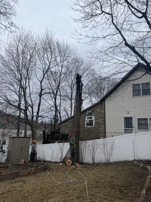 Anthony Landscaping and Masonry Logo