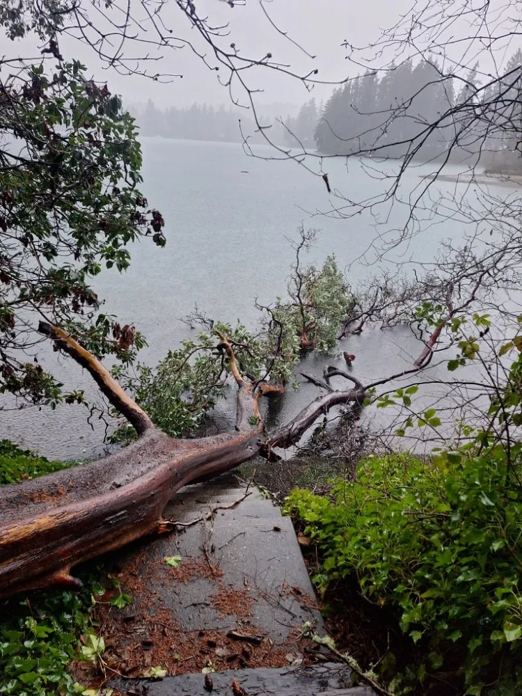 Custom garden landscaping with custom design in Gig Harbor, WA by Anthony Landscaping