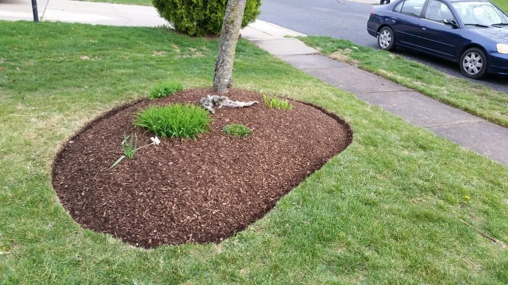 Trusted yard maintenance in Gloucester Township, NJ by Anthony Landscaping