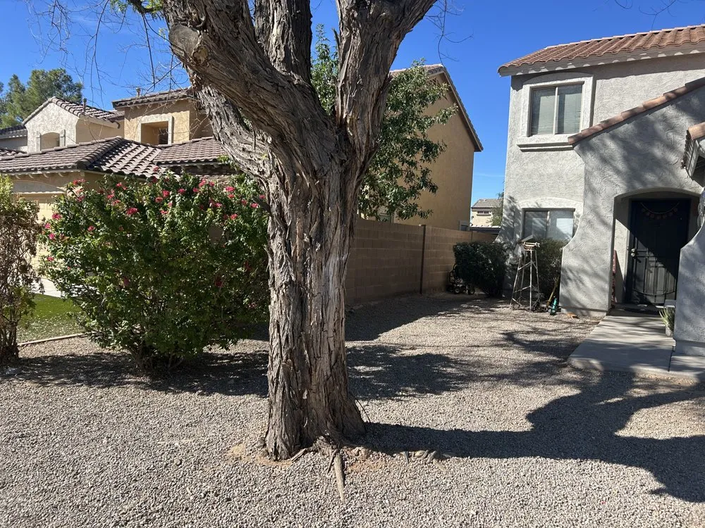 Trusted landscape design for beautiful yards in Queen Creek, AZ by Anthony Landscaping