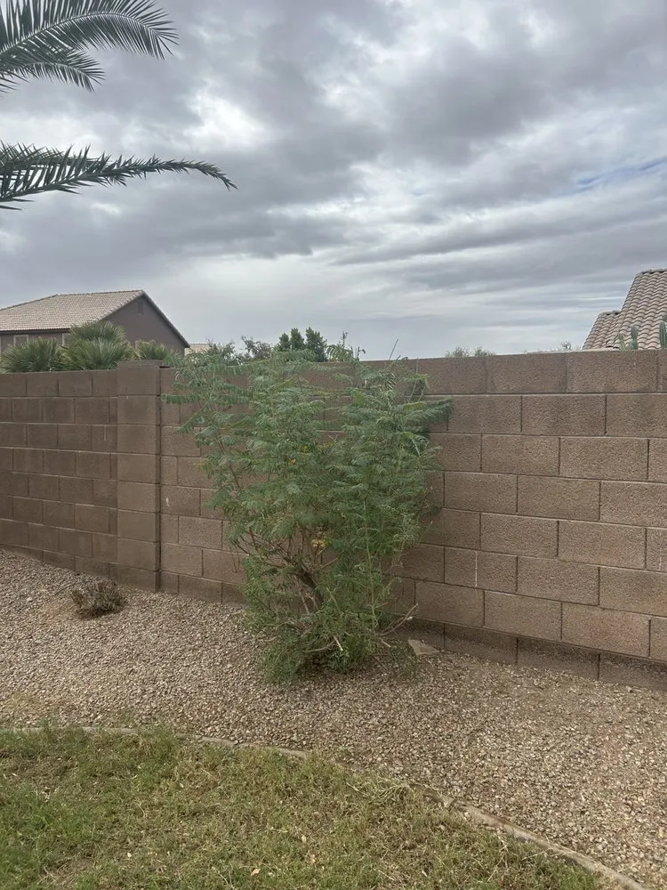 Trusted garden landscaping for beautiful yards in Queen Creek, AZ by Anthony Landscaping