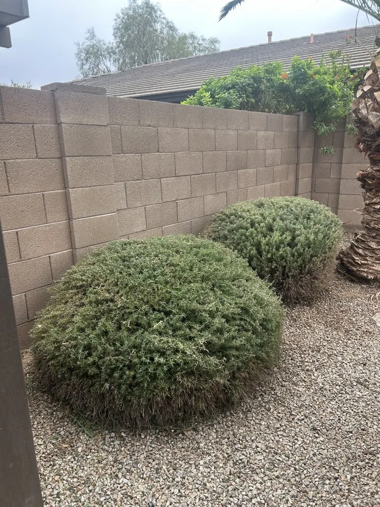 Expert landscape installation in Queen Creek, AZ - Anthony Landscaping