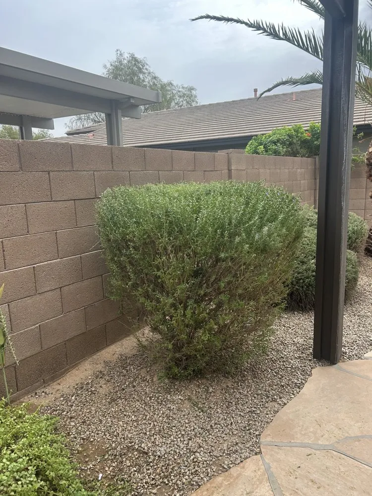 Custom residential landscaping with custom design across Queen Creek, AZ - Anthony Landscaping