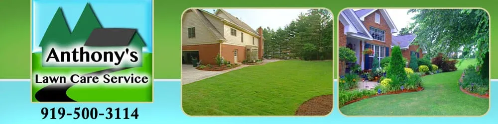 Affordable residential landscaping for homes in Louisburg, NC by Anthony Lawn Care