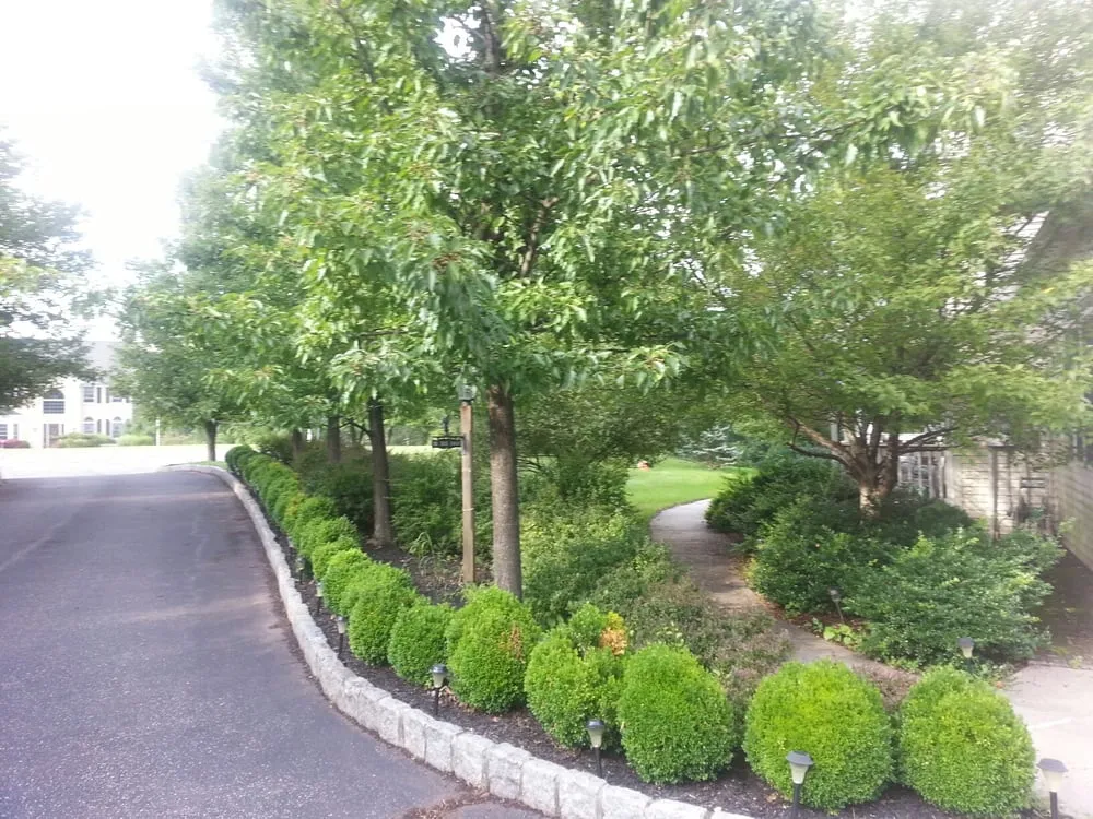 Local yard maintenance experts serving Louisburg, NC - Anthony Lawn Care
