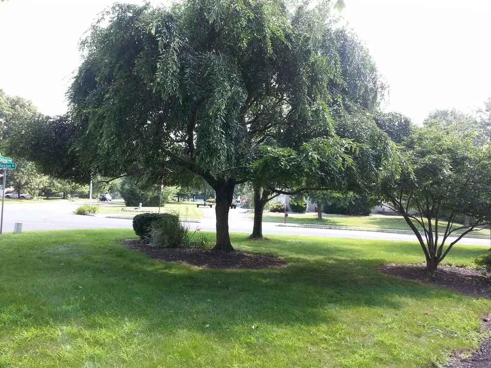 Affordable garden landscaping experts serving Louisburg, NC - Anthony Lawn Care