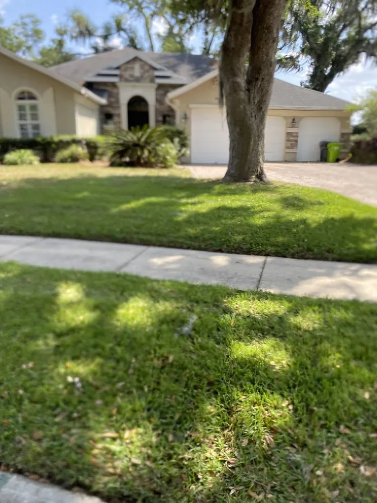 Top-rated yard cleanup service near you across Yulee, FL - Anthony Lawn Care