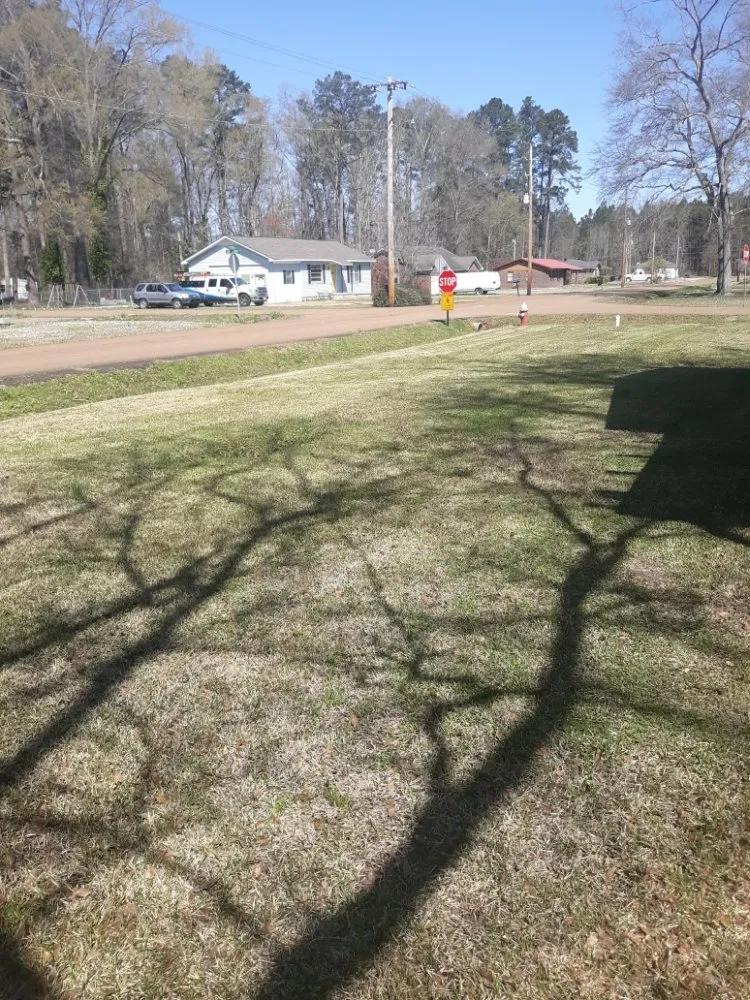 Custom lawn care service near you in Egypt, MS by Anthony lawn pressure washing services