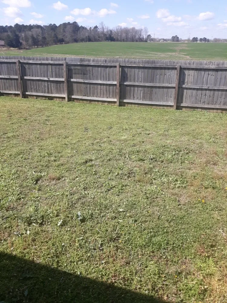 Trusted yard cleanup service in Egypt, MS - Anthony lawn pressure washing services