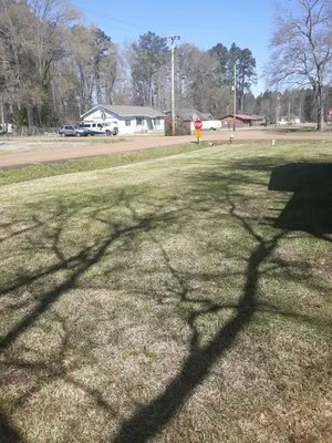 Anthony lawn pressure washing services