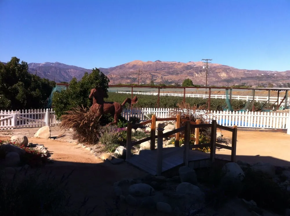 Affordable lawn care service for residential properties across Thousand Oaks, CA - Anthony Marshall Landscape