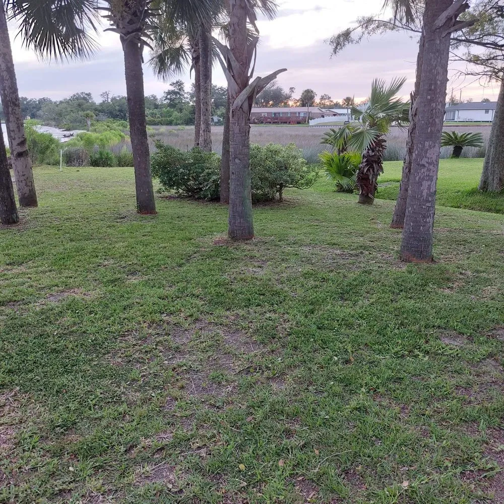 Affordable yard cleanup service experts serving Panama City, FL - Anthony Scott Lawn Service